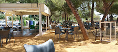 Bar La Muela