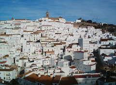 Hotel "La Palmosa"