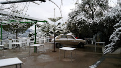 Venta Viña el Rubi
