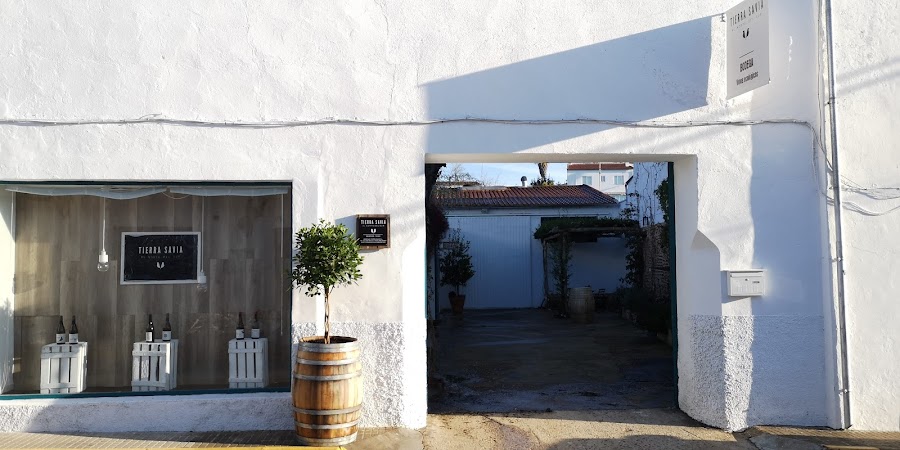 Bodegas Tierra Savia (Bodega, tienda y vinoteca. Visitas guiadas)