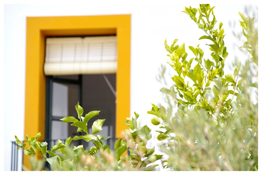 Hotel Andalou de Montellano
